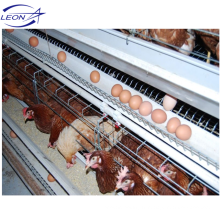 Équipement de volaille de poules de couche de marque de Leon / système automatique de cage de poulet de couche de batterie